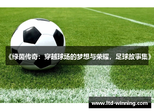 《绿茵传奇：穿越球场的梦想与荣耀，足球故事集》