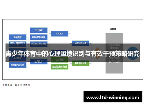 青少年体育中的心理困境识别与有效干预策略研究