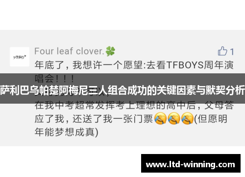 萨利巴乌帕楚阿梅尼三人组合成功的关键因素与默契分析