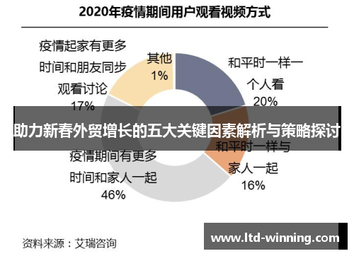 助力新春外贸增长的五大关键因素解析与策略探讨