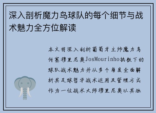 深入剖析魔力鸟球队的每个细节与战术魅力全方位解读