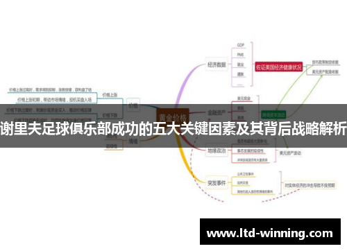 谢里夫足球俱乐部成功的五大关键因素及其背后战略解析